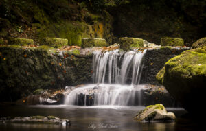 Tollymore steps